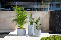 Durable Ripple Tray for Short or Tall Planters - Protects Surfaces & Catches Excess Water